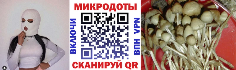 Галлюциногенные грибы MAGIC MUSHROOMS  где купить наркоту  OMG зеркало  Дзержинск 