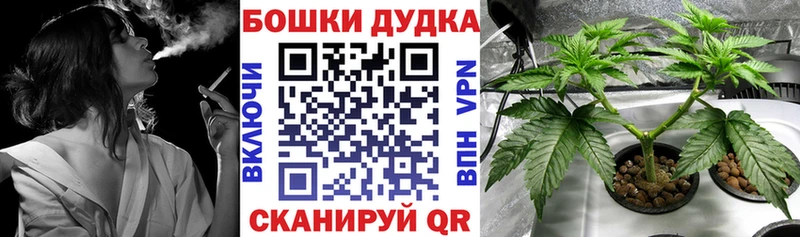 Марихуана сатива  даркнет сайт  Дзержинск 